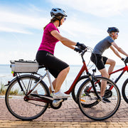 RAYMACE Insulated Bike Rear Rack Trunk Cooler Bag